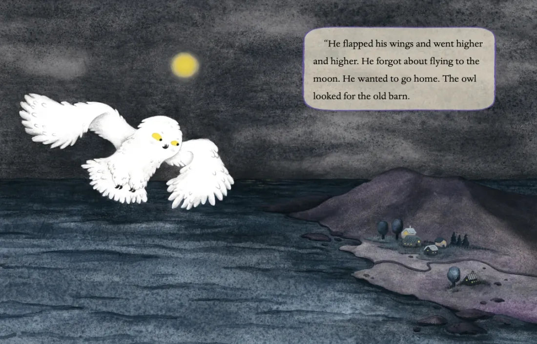 Orris and Timble: Lost and Found US - Hardback