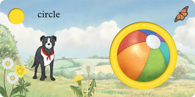 We're Going on a Bear Hunt: My First Shapes US - Board book