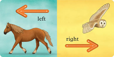 We're Going on a Bear Hunt: My First Opposites US - Board book