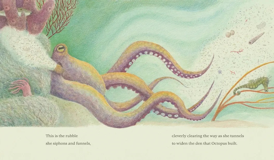 The Den That Octopus Built US - Hardback