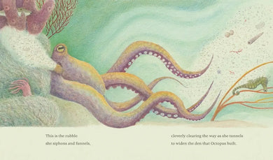 The Den That Octopus Built US - Hardback