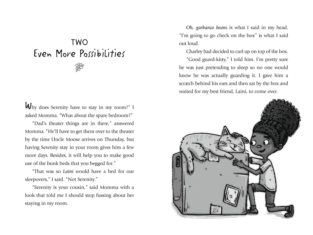 Rica Baptista: The Box of Possibilities US - Hardback