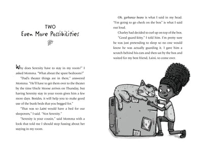 Rica Baptista: The Box of Possibilities US - Hardback
