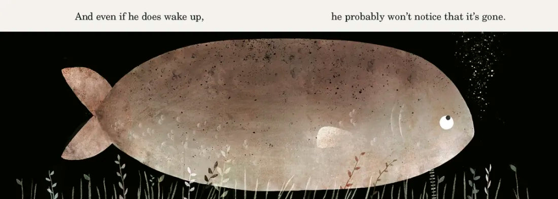 This Is Not My Hat US - Board book