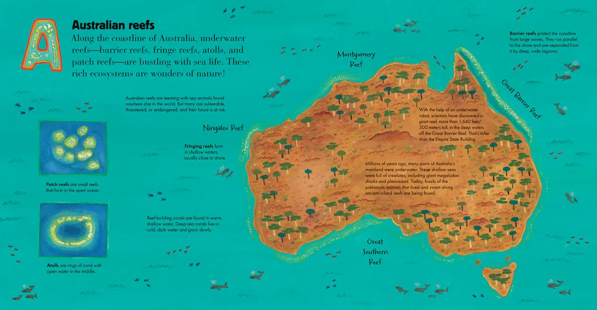 A Is for Australian Reefs US - Hardback
