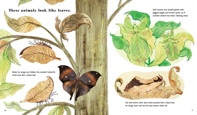 Find Out About Animal Camouflage US - Hardback