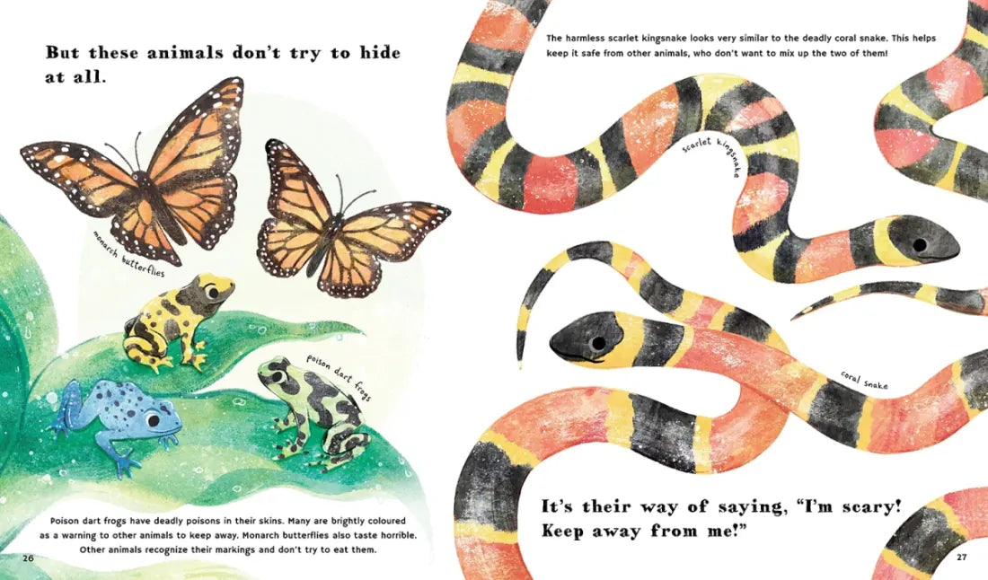 Find Out About Animal Camouflage US - Hardback