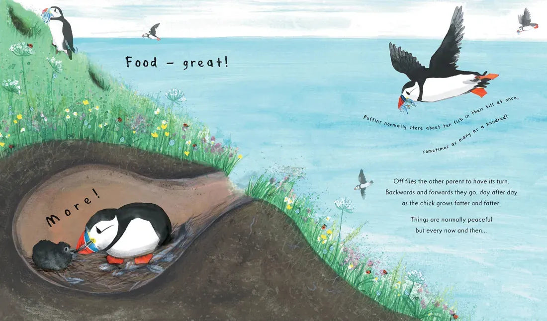Puffin US - Hardback