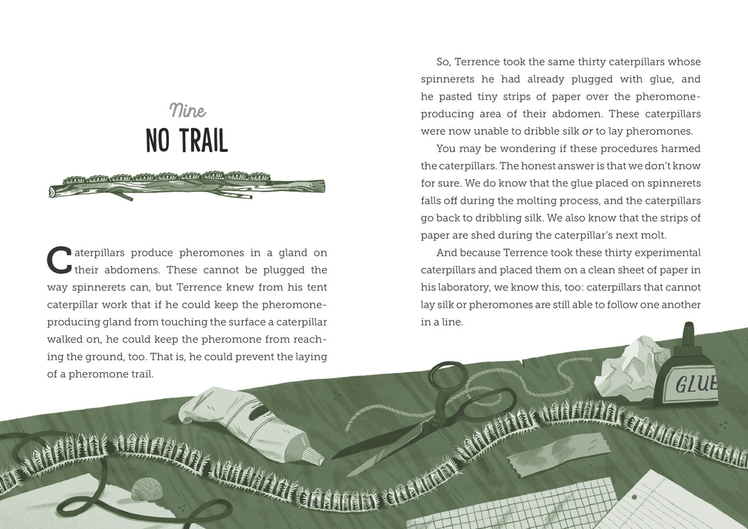 One Long Line: Marching Caterpillars and the Scientists Who Followed Them US - Hardback
