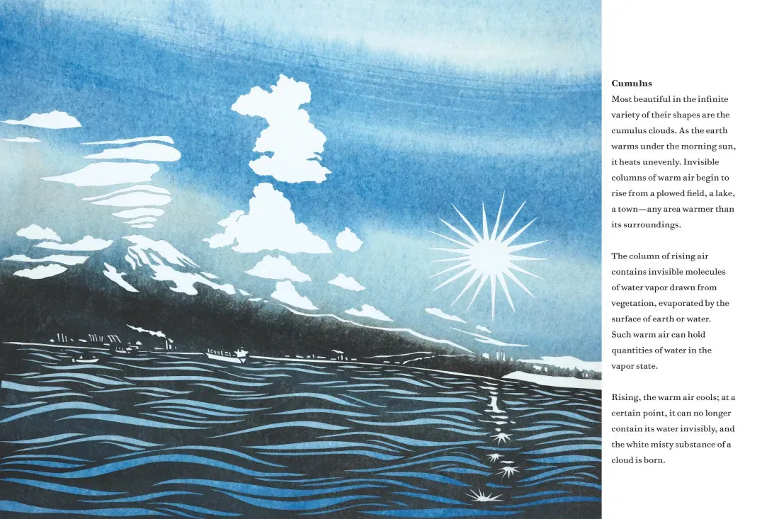 Something About the Sky US - Hardback