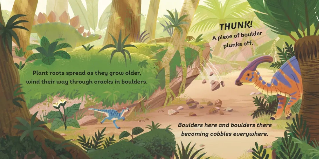 Rocks' Journey US - Board book