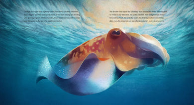 Giant Cuttlefish: Chameleon of the Sea US - Hardback