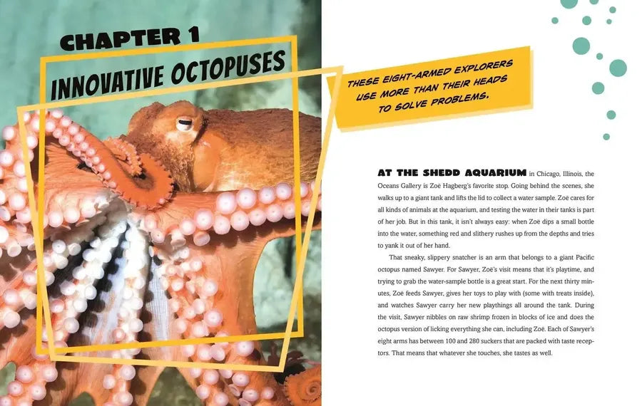 Innovative Octopuses, Half-Brained Birds, and More Animals with Magnificent Minds US - Hardback