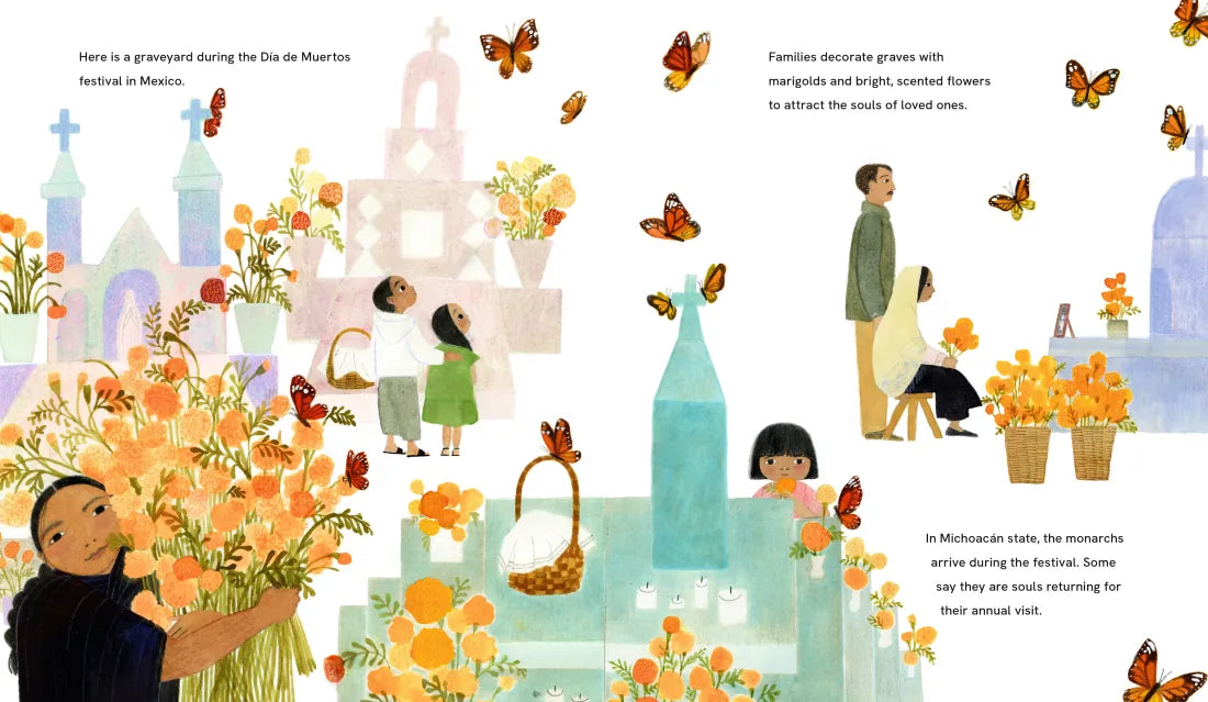 This Is Orange: A Field Trip Through Color US - Hardback