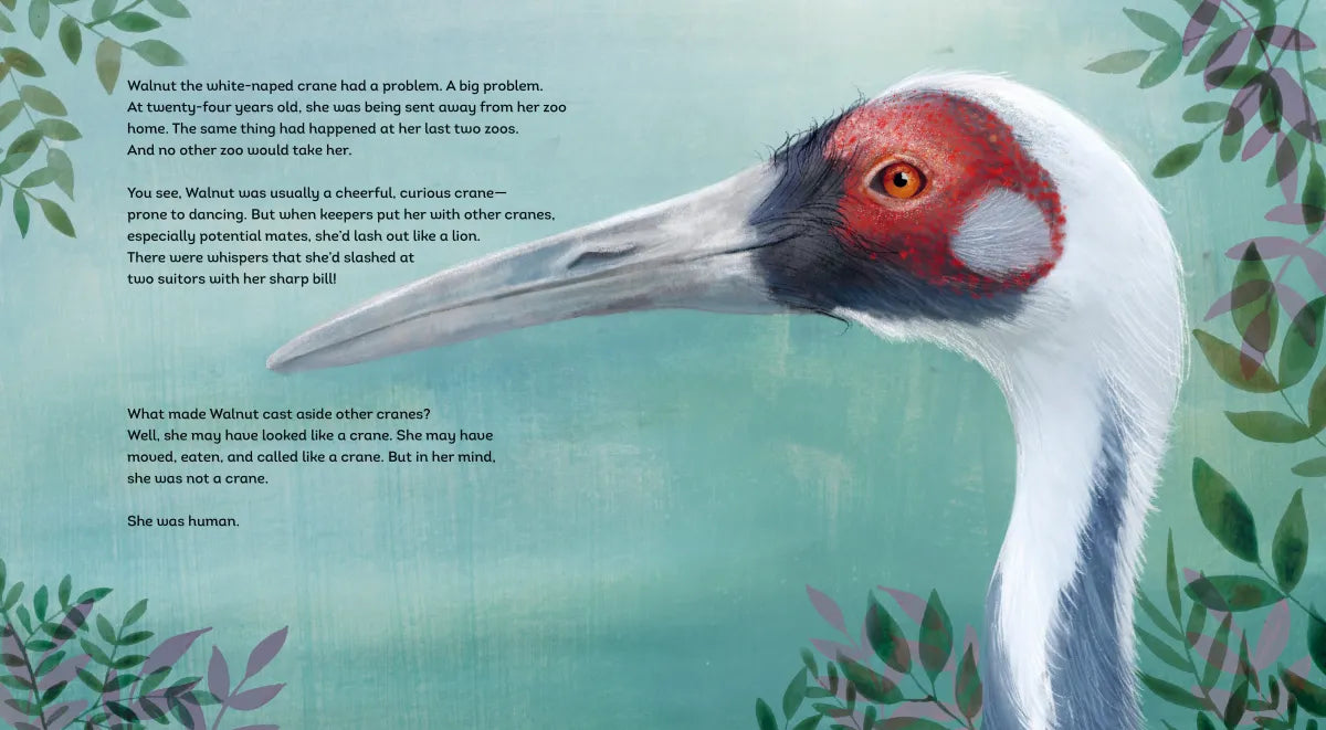 The Crane and the Keeper: How an Endangered Crane Chose a Human as Her Mate US - Hardback