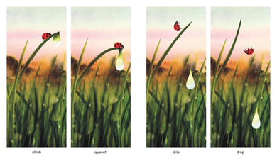 Dawn US - Hardback