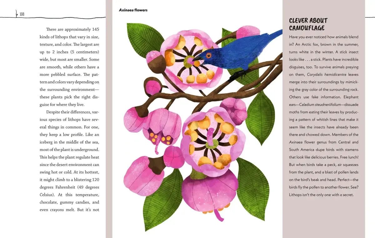 Fantastic Flora: The World’s Biggest, Baddest, and Smelliest Plants US - Hardback