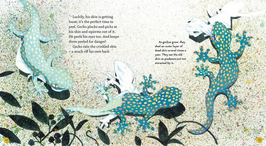Gecko US - Paperback / softback