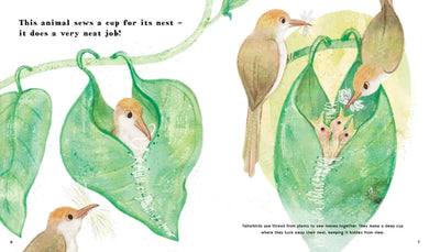 Find Out About Animal Tools US - Hardback