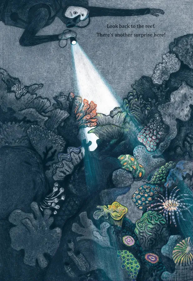 Dive, Dive into the Night Sea US - Hardback