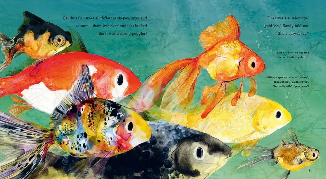 My Pet Goldfish US - Paperback / softback