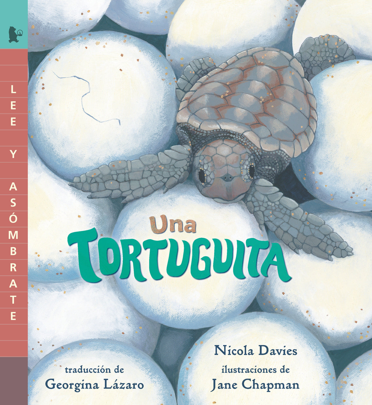 Una tortuguita cover (ISBN 9781536234756)