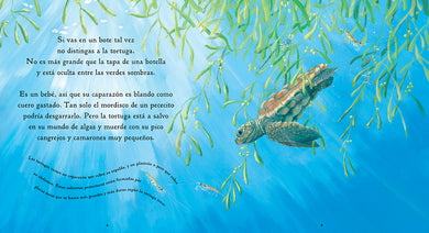 Una tortuguita interior 1 (ISBN 9781536234756)