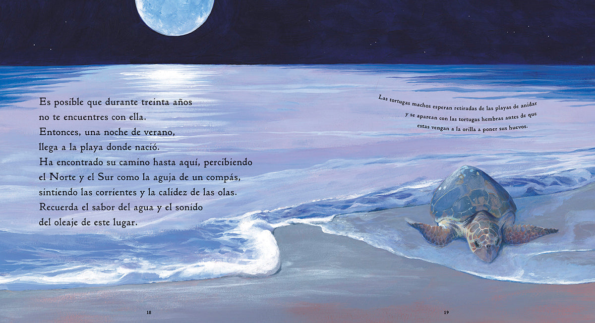 Una tortuguita interior 3 (ISBN 9781536234756)