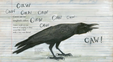 Clever Crow US - Hardback