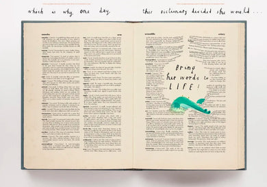 The Dictionary Story US - Hardback
