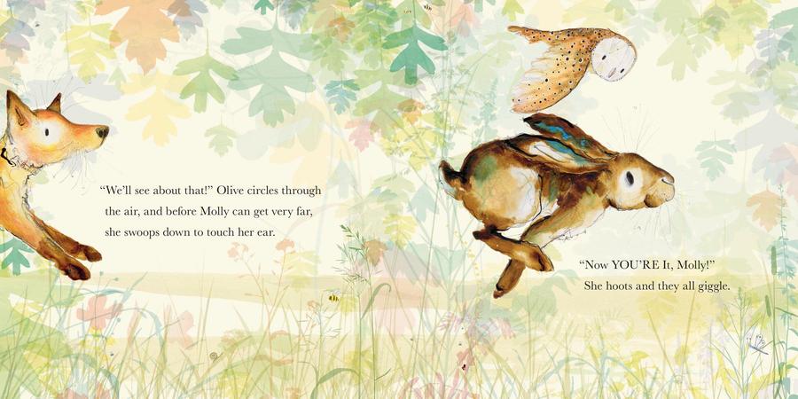 Molly, Olive, and Dexter: You Can't Catch Me! US - Hardback