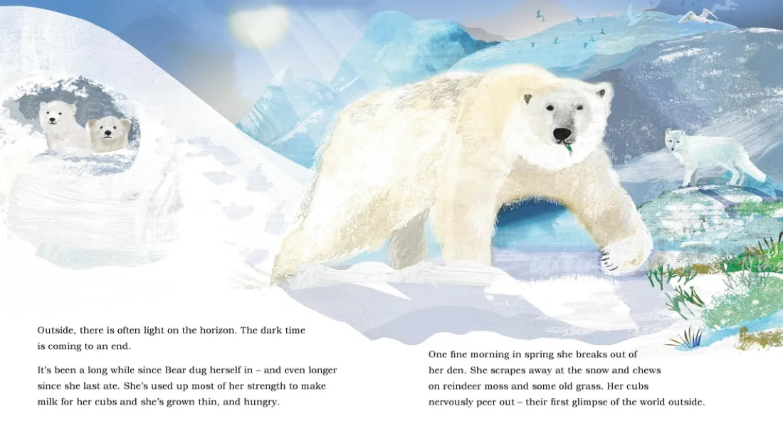 Ice Journey of the Polar Bear US - Hardback