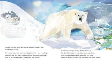 Ice Journey of the Polar Bear US - Hardback