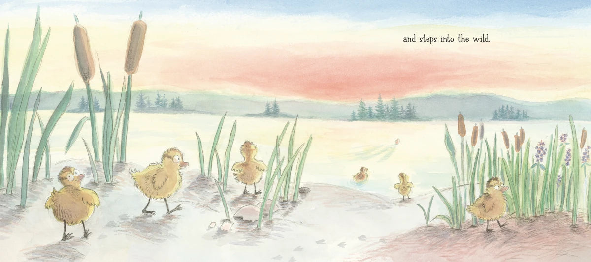 Seven Little Ducklings US - Hardback