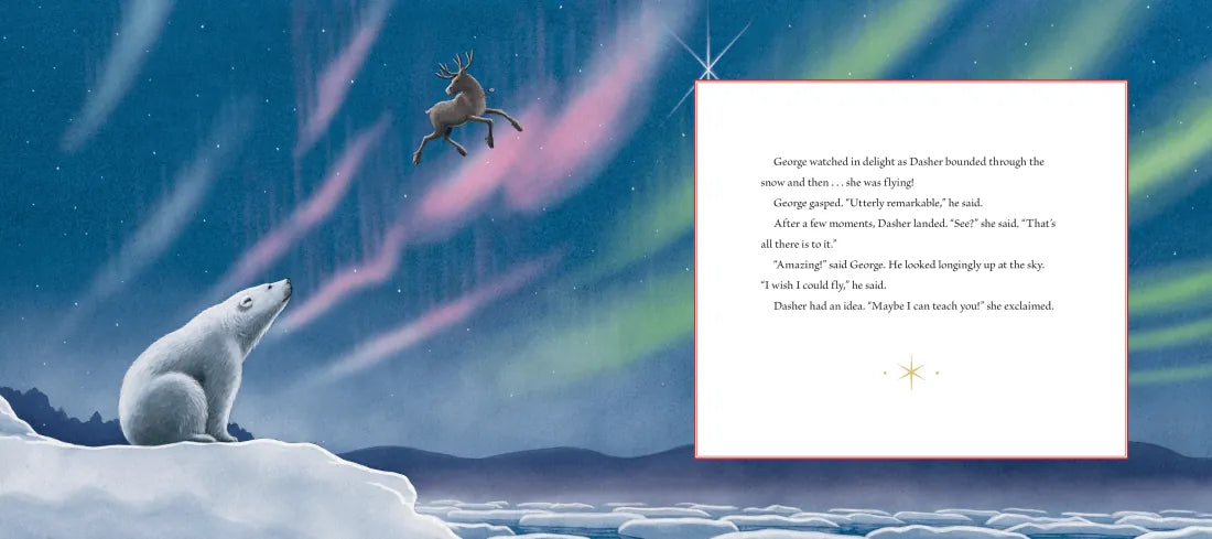 Dasher and the Polar Bear US - Hardback