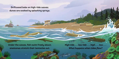 Tide's Journey US - Board book