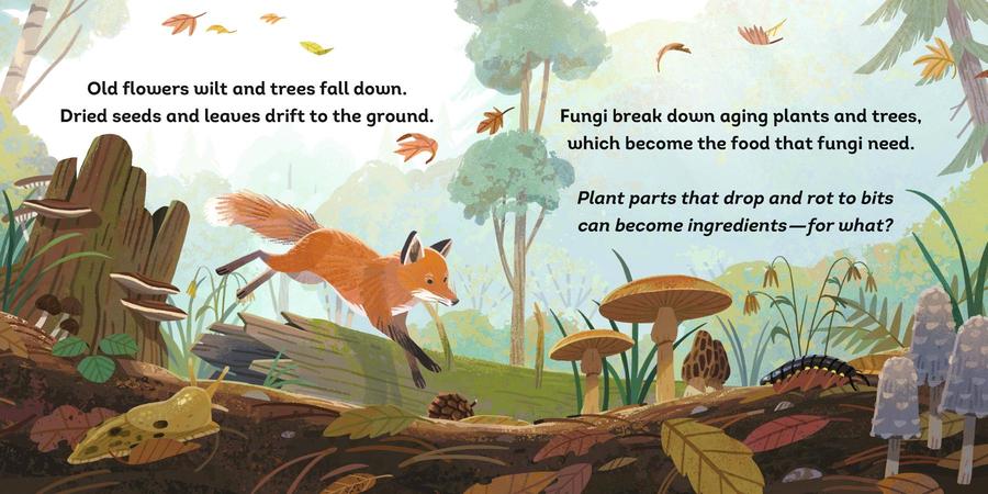Dirt's Journey US - Board book