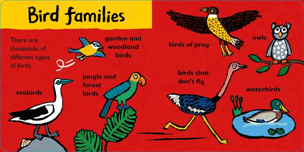 Maisy Loves Birds: A Maisy's Planet Book US - Board book