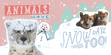 Snow Day at the Zoo US - Board book