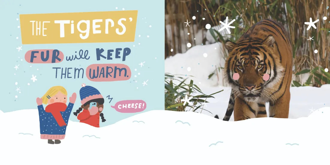 Snow Day at the Zoo US - Board book