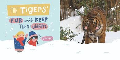 Snow Day at the Zoo US - Board book