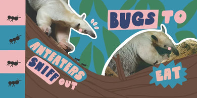 Lunchtime at the Zoo US - Board book