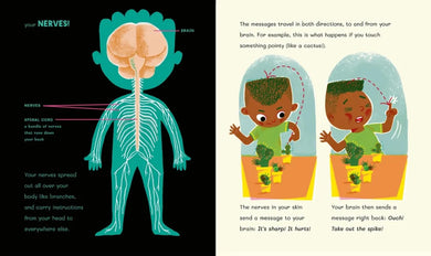The Brilliant Brain: How It Works and How to Look After It US - Hardback