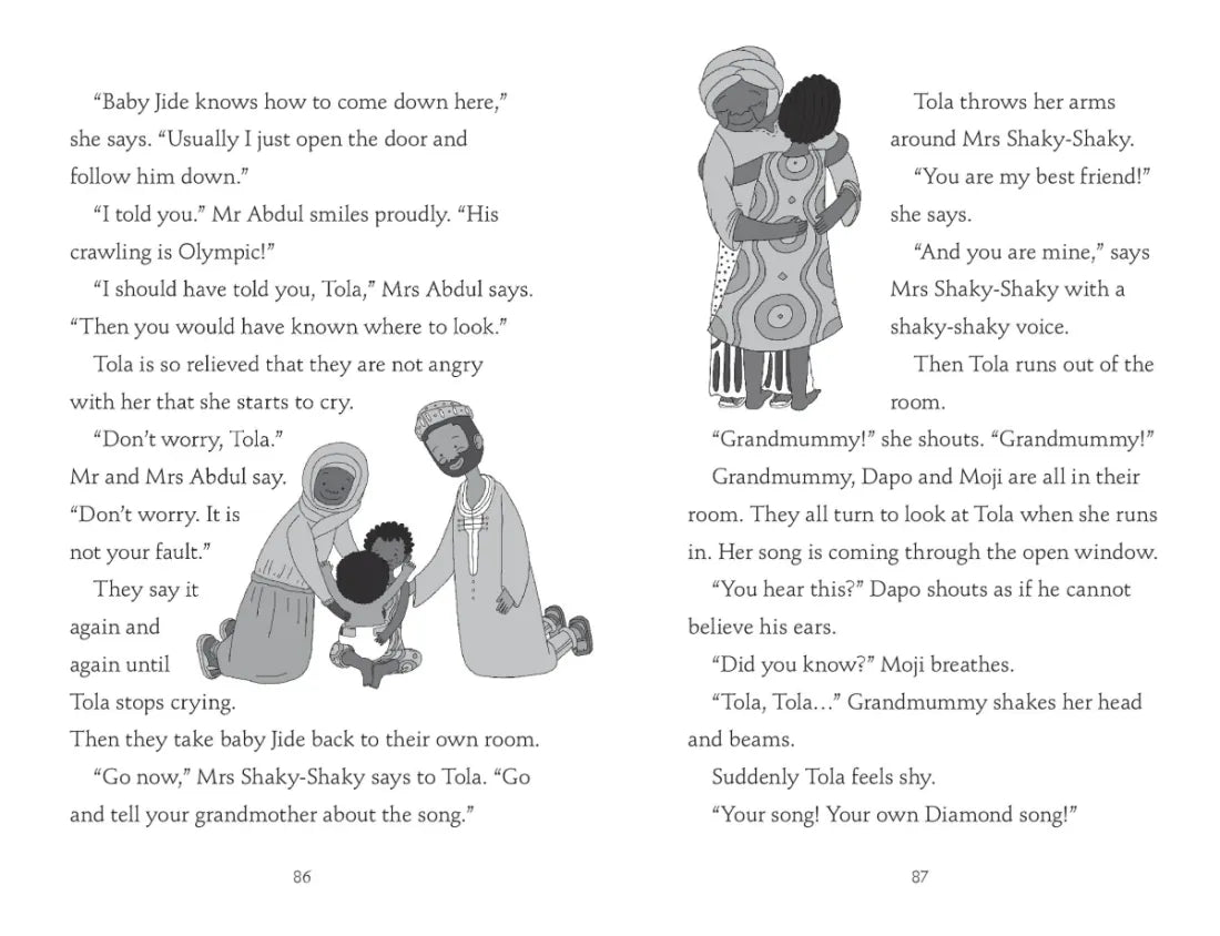 Too Small Tola Makes It Count US - Hardback