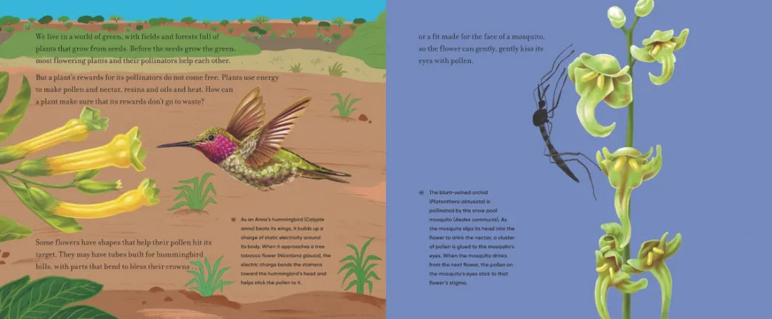 Before the Seed: How Pollen Moves US - Paperback / softback
