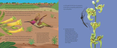Before the Seed: How Pollen Moves US - Paperback / softback