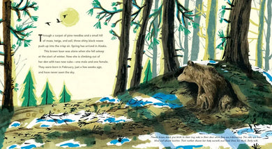 Brown Bears US - Hardback