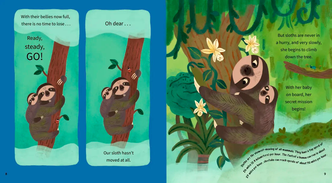 Ready, Steady, Sloth! US - Hardback