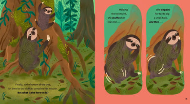 Ready, Steady, Sloth! US - Hardback