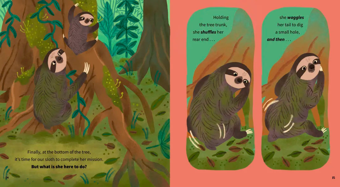 Ready, Steady, Sloth! US - Hardback